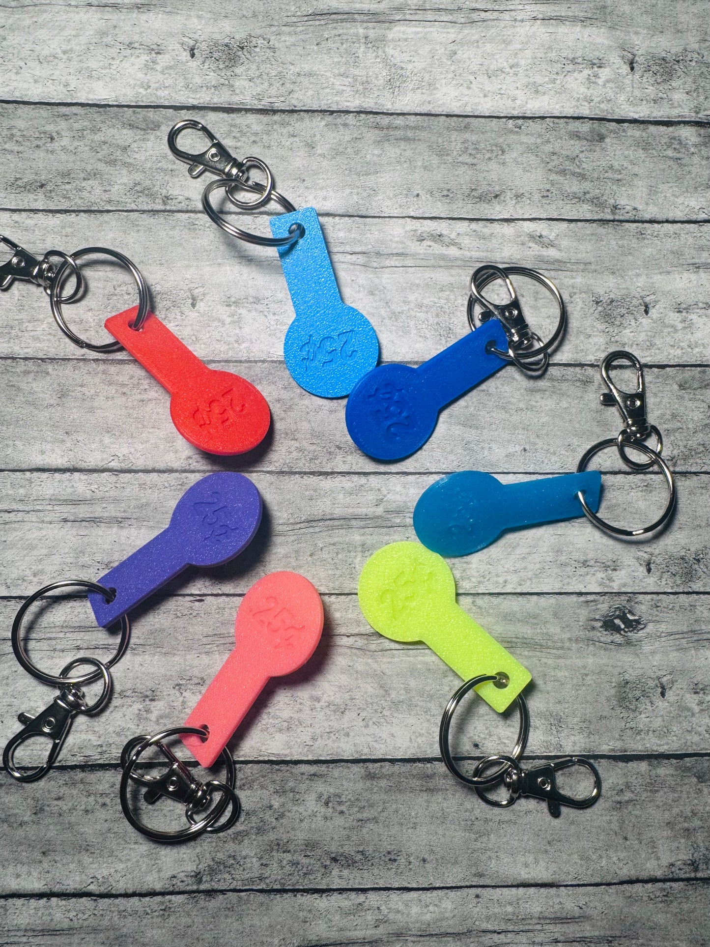 Aldi Quarter Keychain